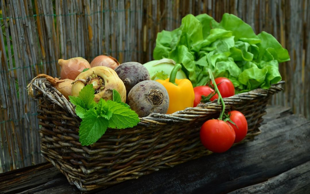 Vegan – All Quadrant Considerations for an Integral Diet